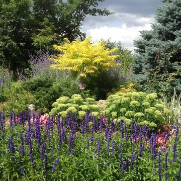 Mid-Summer Dream