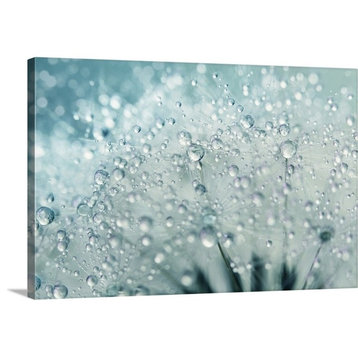 "Snow Storm Dandy Drops" Wrapped Canvas Art Print, 18"x12"x1.5"