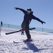 David Haupt's photo