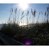 Denise Merrow's photo