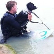 Andrew Shreeve's photo