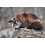 Rick Sobus's photo