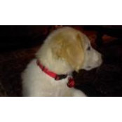 Birgit Stubblefield's photo