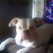 Marilyn Buros Johnson's photo