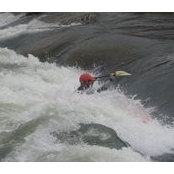 William Burggraf's photo