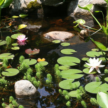 Water Features