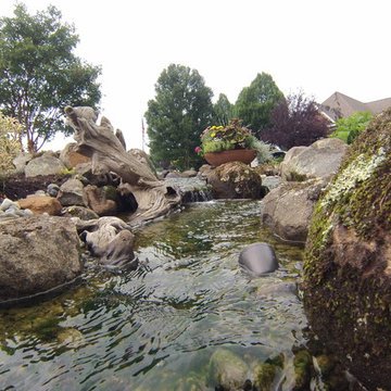 Large Scale Pond Project
