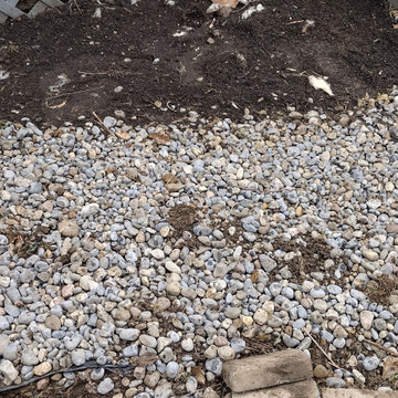 Regina's Dog-Friendly Yard