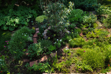 Foto de jardín de estilo americano de tamaño medio en verano en patio trasero con paisajismo estilo desértico, exposición parcial al sol y adoquines de piedra natural
