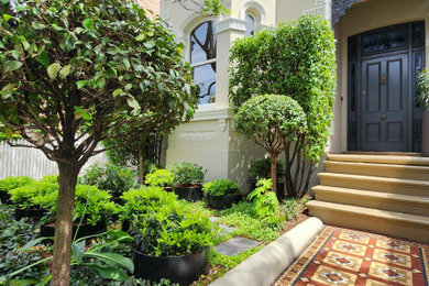 Design ideas for a small contemporary garden in Sydney.