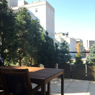 Harlem Rooftop Garden