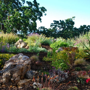 Hillside