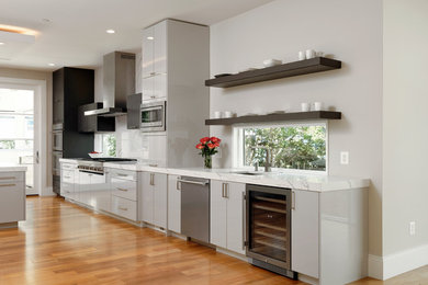 Example of a minimalist kitchen design in DC Metro