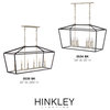 Hinkley Stinson Medium Six Light Linear, Black