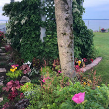 gardens