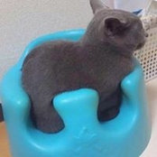 Jane Yamin's photo