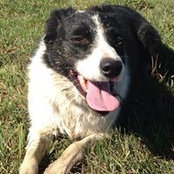 Robyn Cole's photo