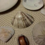 Alice Reding's photo