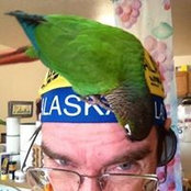 Roy Neese's photo