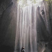 Nebby Rostrata's photo