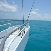 Catherine Allen's photo