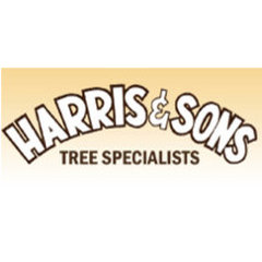 Harris & Sons Tree Specialist