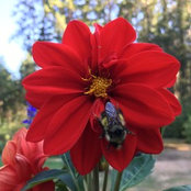 Deb Brewer's photo