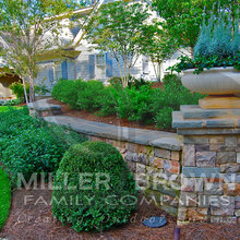 Landscape Ideas