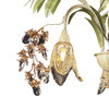 Nature Inspired Traditional Three Light Chandelier in Seashell Sage Green