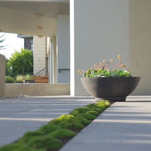 Landscape Ideas