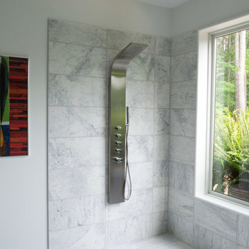 Contemporary Master Bath