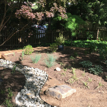 Silver Spring back yard