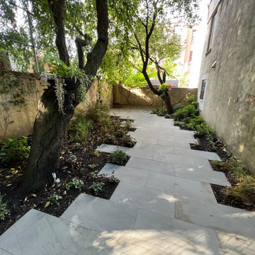 Modern Urban Shade Garden