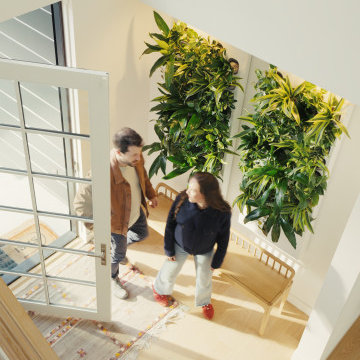 Mill Valley Home
