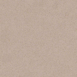Hazelwood - Q Premium Natural Quartz - Kitchen Countertops