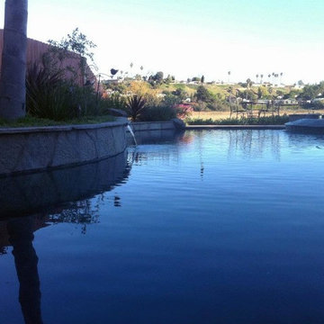 Our Residential Pools