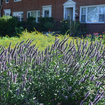 Pollinator & Vegetable Garden in Towson, MD