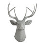 Gray With Gray Antlers