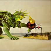 Claudia Stephens's photo