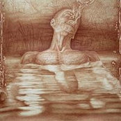 Photo de Vincent Castiglia
