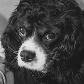 Kelly Schouten's photo