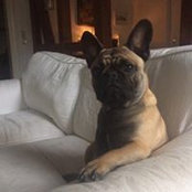 Anja Eggers's photo