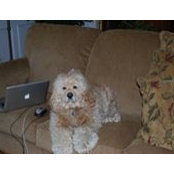 Tammy Catenacci's photo