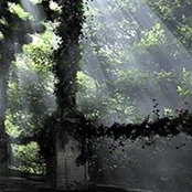 Noelle Bomberger's photo