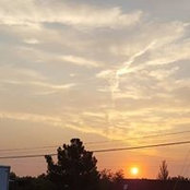 Vinessa Bashaw's photo