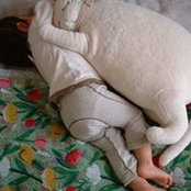 Noriko Miyajima's photo