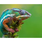 Darlene Sonnilal's photo