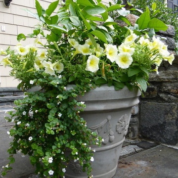 Container Design - Spring and Summer