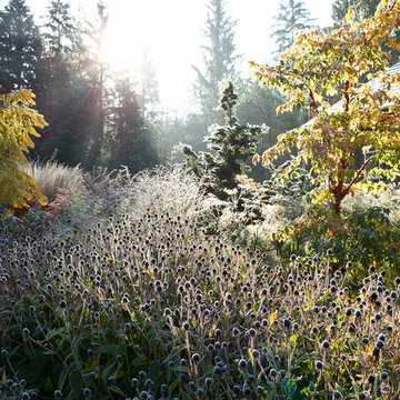 Great Plant Combinations