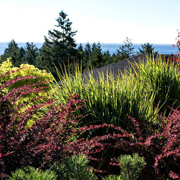 Cliffside Paradise